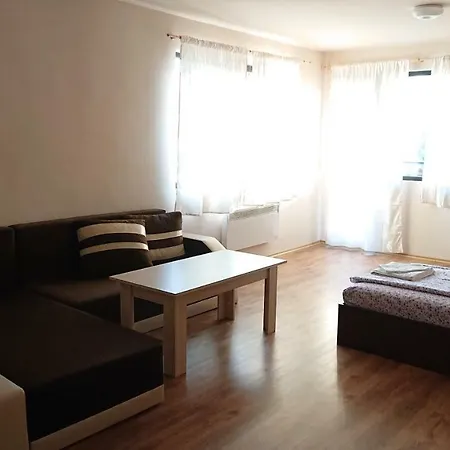 Apartment апартамент Lion 7