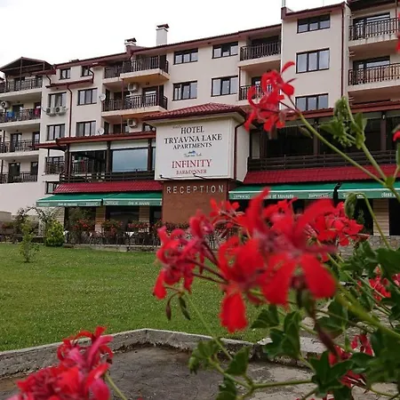 Apartment апартамент Lion 7
